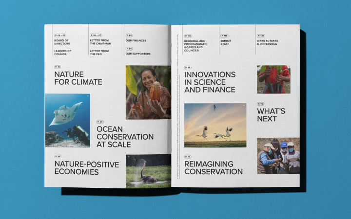 Conservation International 2022 → The Office Of Ordinary Things